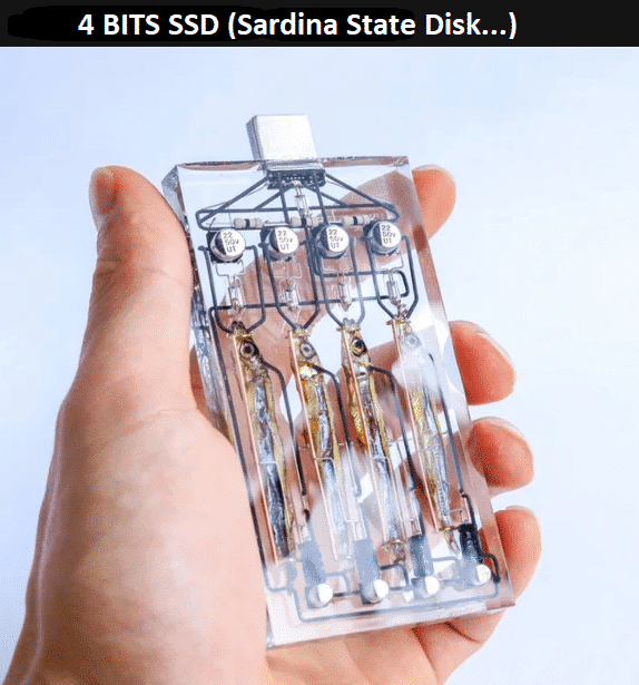 Disco SSD (Sardina State Disk)