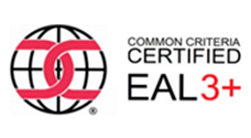 Certificat 10