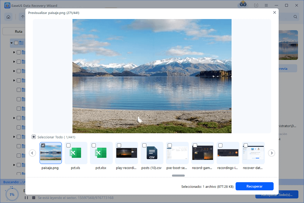 Vista previa de archivos en EaseUS antes de recuperar